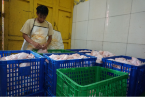 Marwah Wakaf Indonesia Kembangkan Wakaf Produktif Sektor Riil untuk Anak Yatim dan Dhuafa